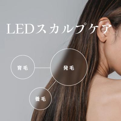 LEDスカルプケア1時間